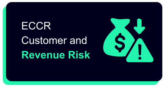 ECCR Hub Header - Customer and Revenue Risk